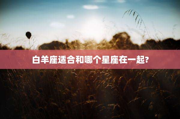 白羊座适合和哪个星座在一起?