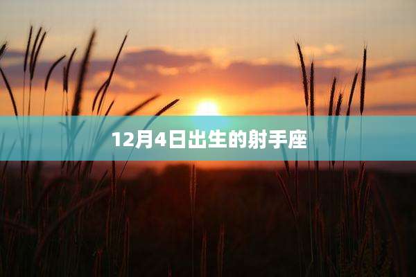 12月4日出生的射手座