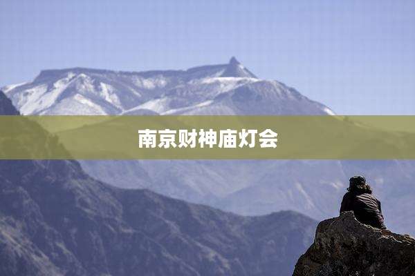 南京财神庙灯会