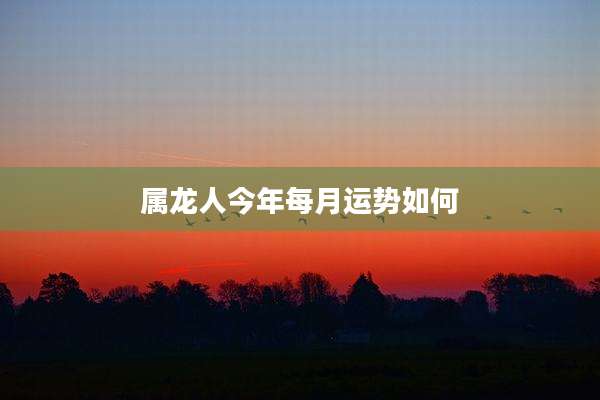 属龙人今年每月运势如何