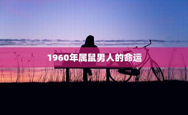 1960年属鼠男人的命运