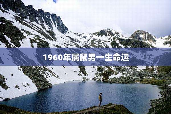 1960年属鼠男一生命运