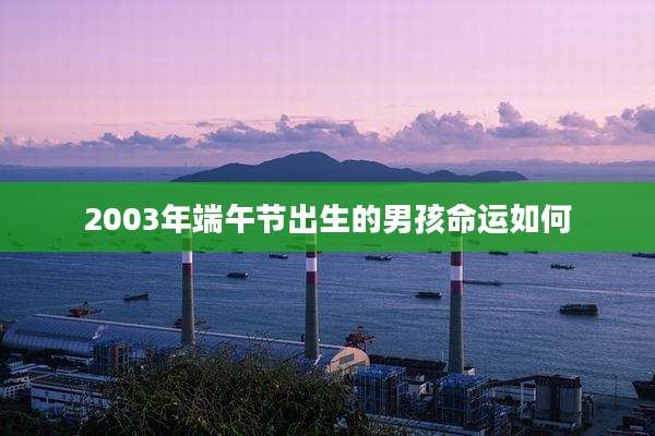 2003年端午节出生的男孩命运如何