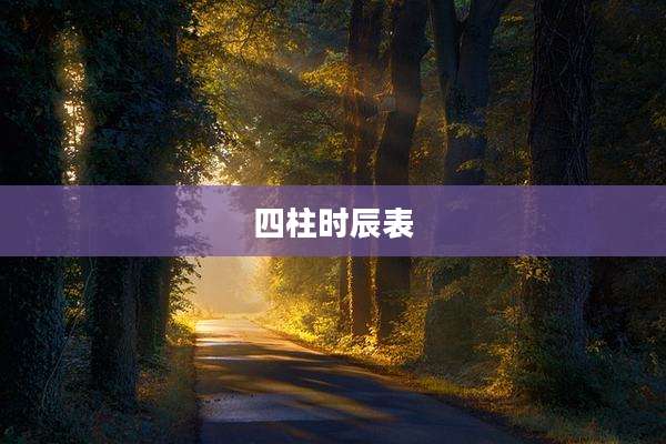 四柱时辰表