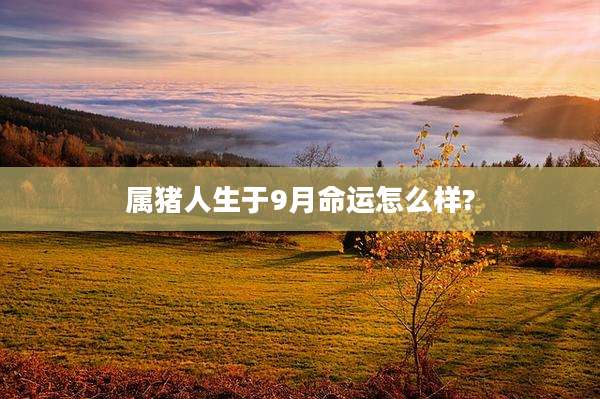属猪人生于9月命运怎么样?