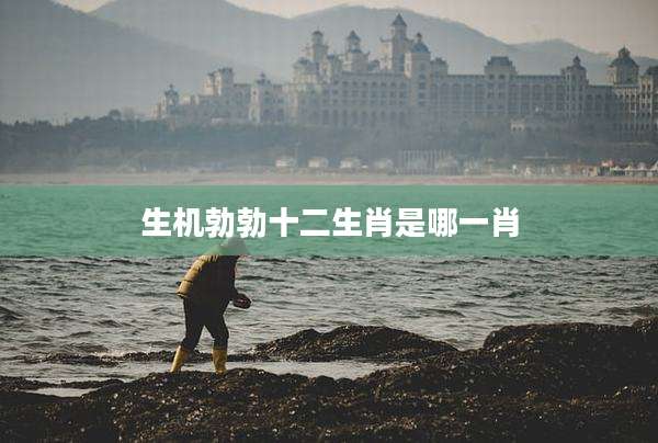 生机勃勃十二生肖是哪一肖
