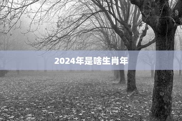 2024年是啥生肖年