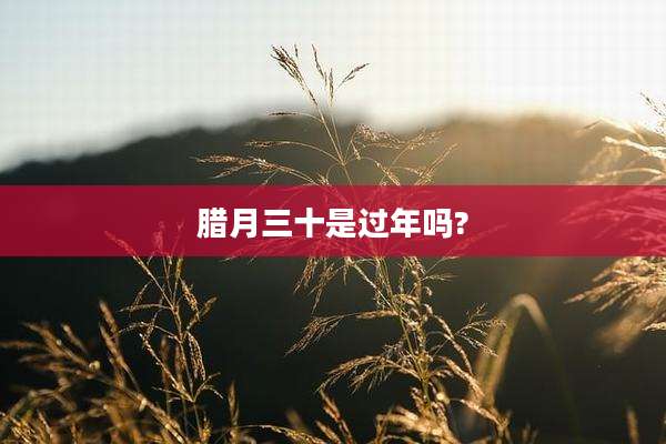 腊月三十是过年吗?
