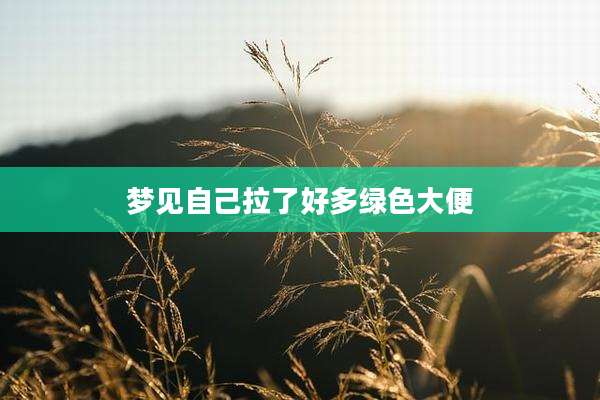 梦见自己拉了好多绿色大便