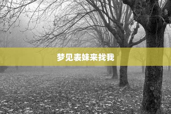 梦见表妹来找我
