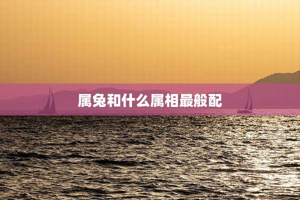 属兔和什么属相最般配