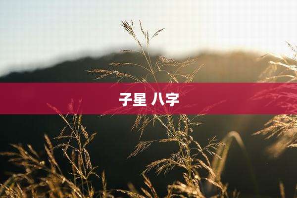 子星 八字