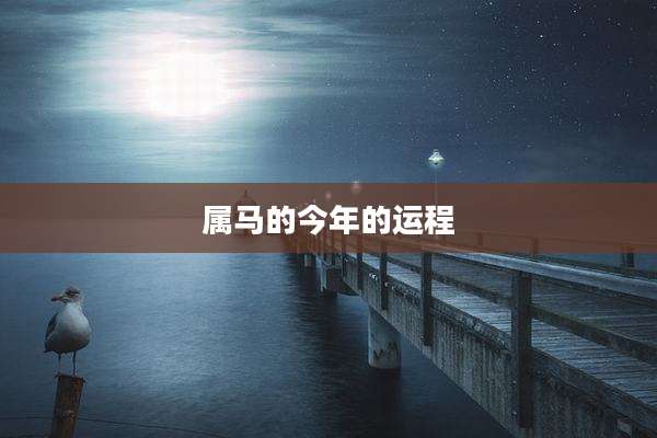 属马的今年的运程