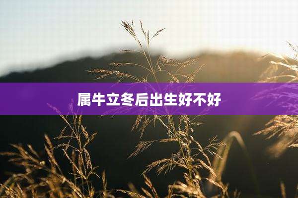 属牛立冬后出生好不好