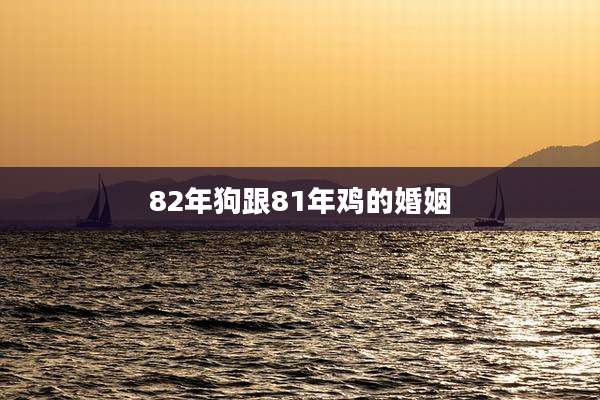 82年狗跟81年鸡的婚姻