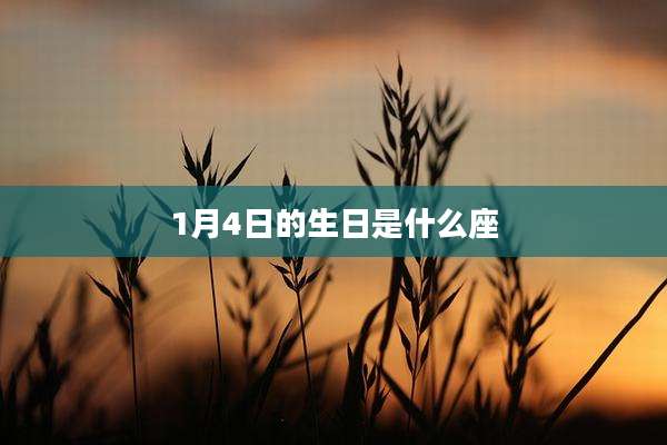 1月4日的生日是什么座