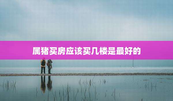 属猪买房应该买几楼是最好的