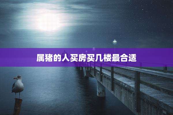 属猪的人买房买几楼最合适