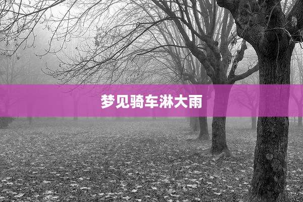 梦见骑车淋大雨