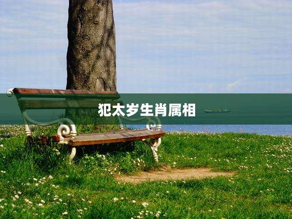 犯太岁生肖属相