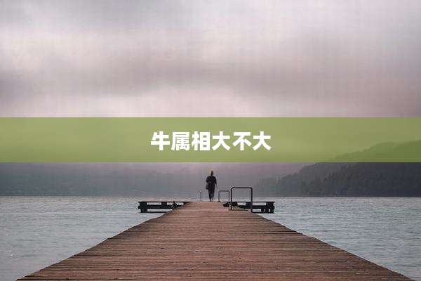 牛属相大不大