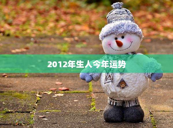 2012年生人今年运势
