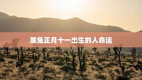 属兔正月十一出生的人命运