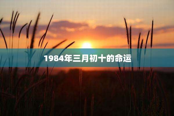 1984年三月初十的命运