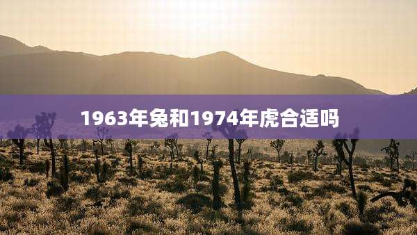 1963年兔和1974年虎合适吗