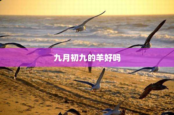九月初九的羊好吗