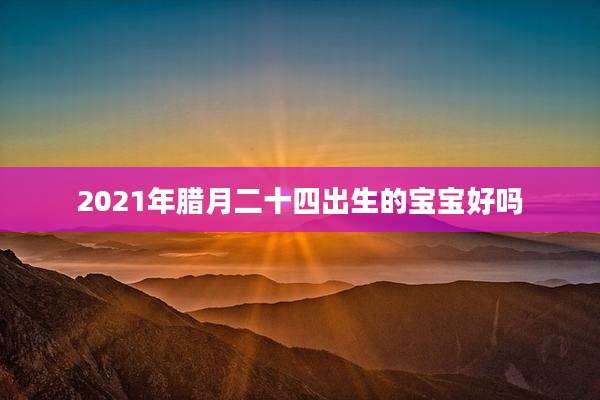 2021年腊月二十四出生的宝宝好吗