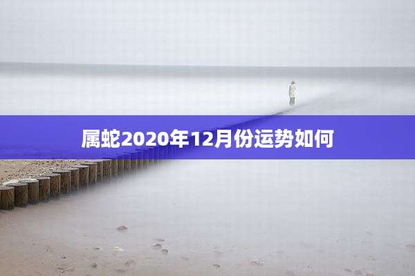 属蛇2020年12月份运势如何