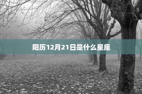 阳历12月21日是什么星座