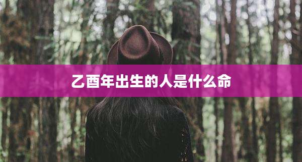 乙酉年出生的人是什么命