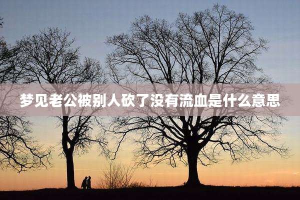梦见老公被别人砍了没有流血是什么意思