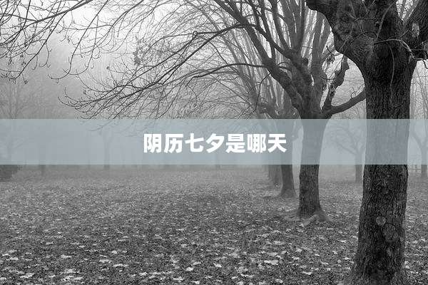 阴历七夕是哪天