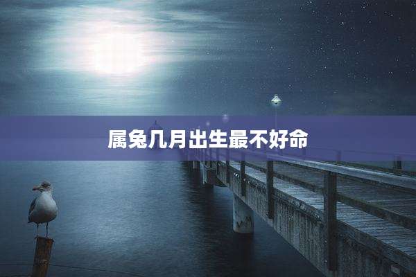 属兔几月出生最不好命