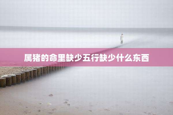 属猪的命里缺少五行缺少什么东西