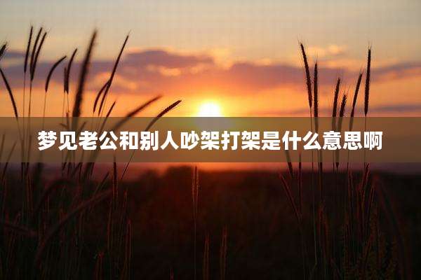 梦见老公和别人吵架打架是什么意思啊