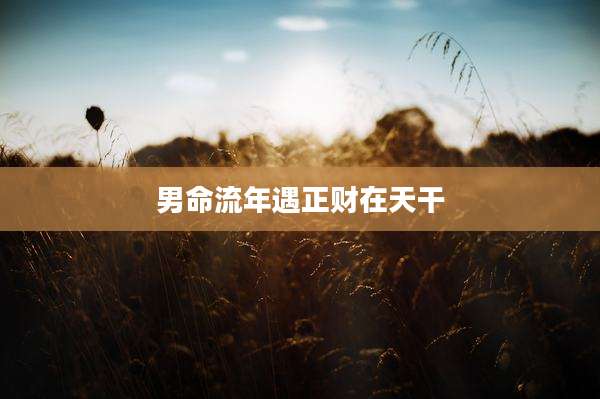 男命流年遇正财在天干