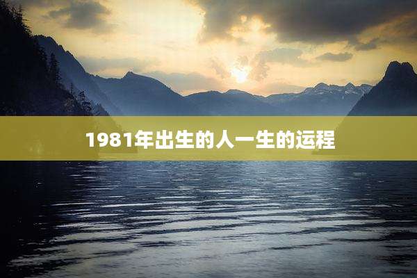 1981年出生的人一生的运程