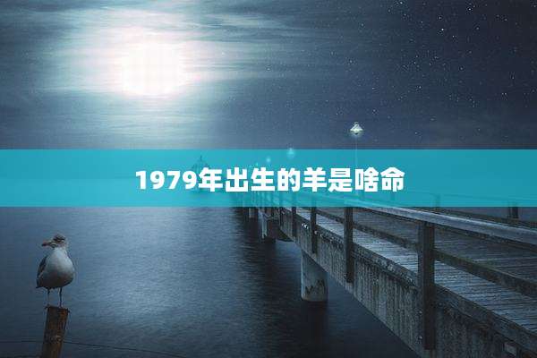 1979年出生的羊是啥命