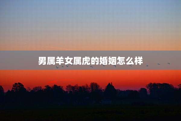 男属羊女属虎的婚姻怎么样