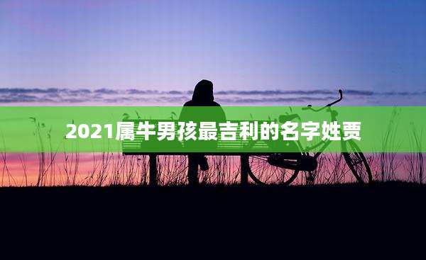 2021属牛男孩最吉利的名字姓贾
