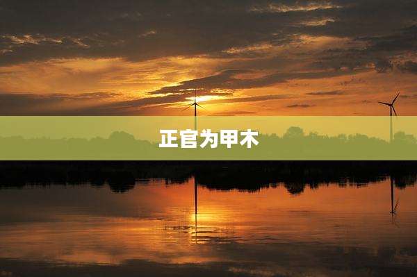 正官为甲木