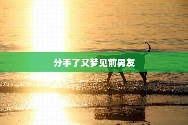 分手了又梦见前男友