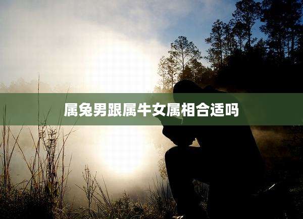 属兔男跟属牛女属相合适吗