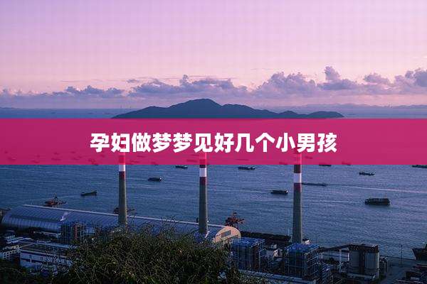 孕妇做梦梦见好几个小男孩