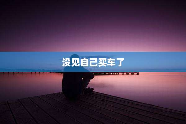 没见自己买车了