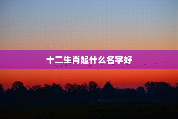 十二生肖起什么名字好